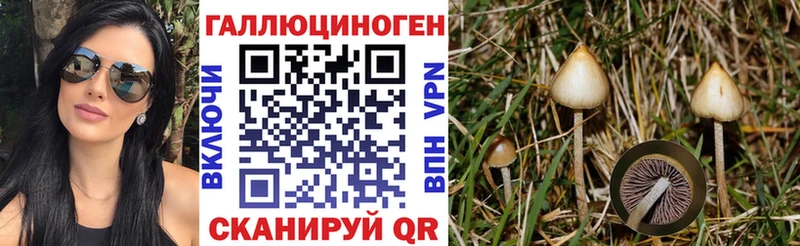 Галлюциногенные грибы GOLDEN TEACHER  OMG ТОР  Брюховецкая 